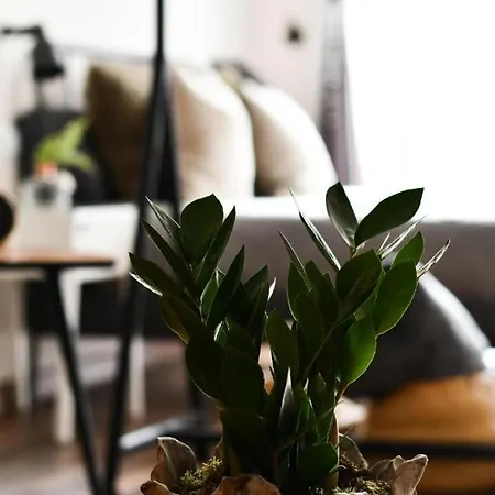 Apartment Loft By Celta Vigo